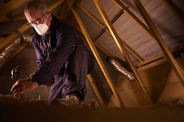 Best Cellulose Insulation in Gumlog, GA